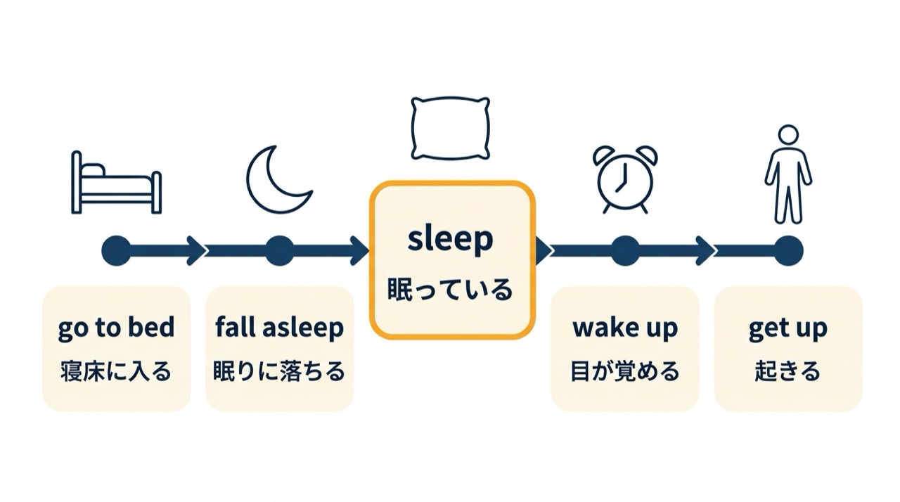 眠りまでの時間の流れ。go to bed（寝床に入る）、fall asleep（眠りに落ちる）、sleep（眠っている）、wake up（目が覚める）、get up（起きる）の順に左から右へ並ぶ。go to bed・fall asleep・wake up・get upは動作、sleepは状態