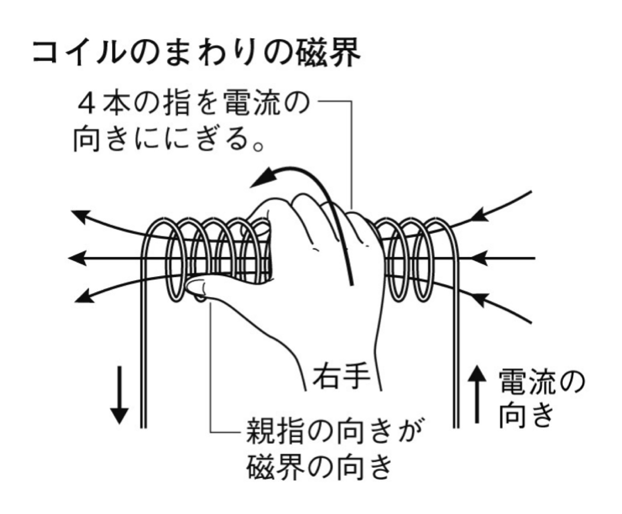 コイルのまわりの磁界。右手の4本の指を電流の向きににぎったとき、親指の向きが磁界の向きになる